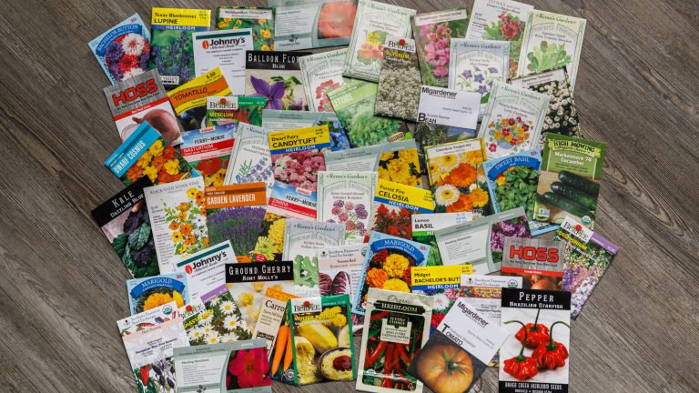 Decoding Seed Packet Labels: Understanding Your Purchase Better
