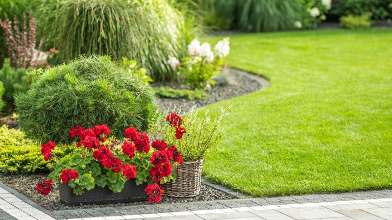 Your Garden Borders Make a Bigger Statement Than You Realize Your Garden Borders Make a Bigger Statement Than You Realize
