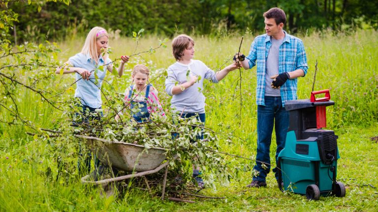 Save Money by Renting These 9 Tools for Your Next DIY Project