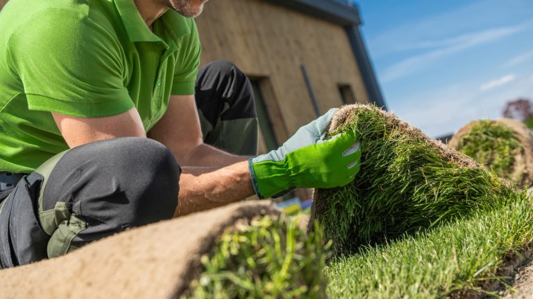 What Denver Residents Should Know About Colorado's Lawn Replacement Program and Its Incentives