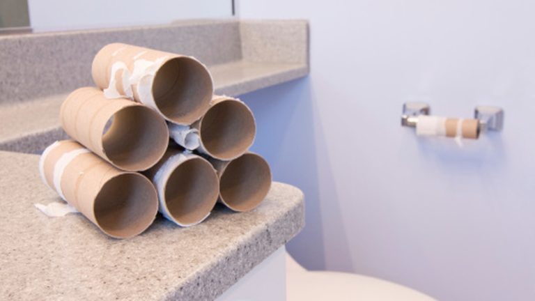 Repurpose Old Toilet Paper Tubes for a Vibrant Garden Oasis