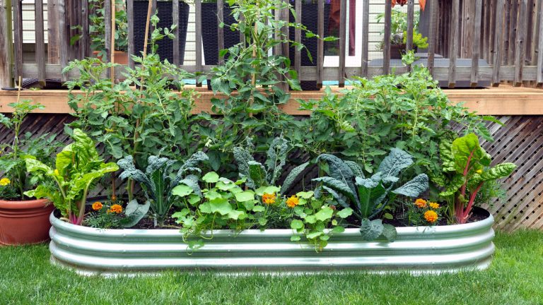 The Common Container Gardening Mistake That Wastes Your Fertilizer