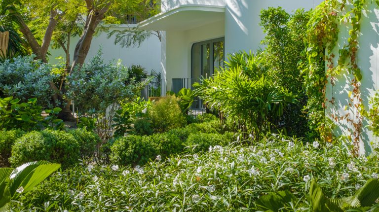 The Gardening Secret to Transform Simple Spaces into Luxurious Retreats