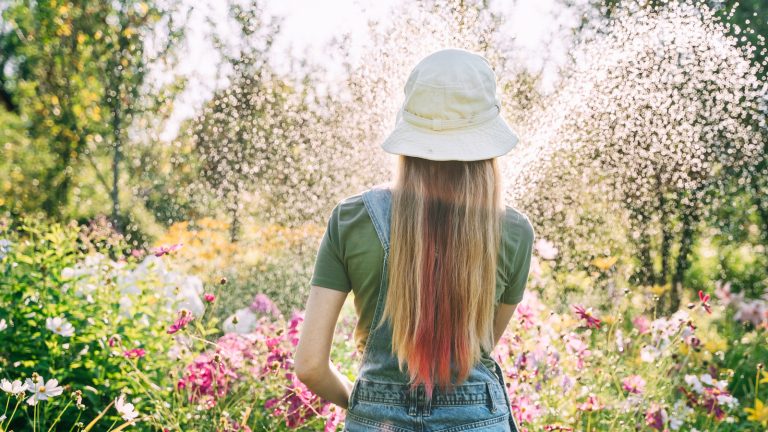 Avoid This Common Watering Mistake to Help Your Plants Survive a Heat Wave Avoid This Common Watering Mistake to Help Your Plants Survive a Heat Wave