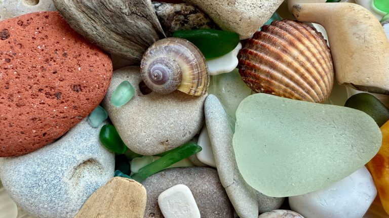 Create Your Own Coastal-Inspired Garden with These Easy DIY Tips