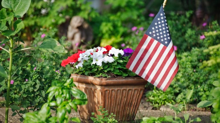 Patriotic Container Companions for a Stunning Fourth of July Display
