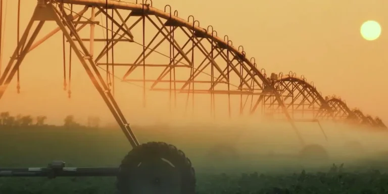 Tree T-Pee Water Conservation