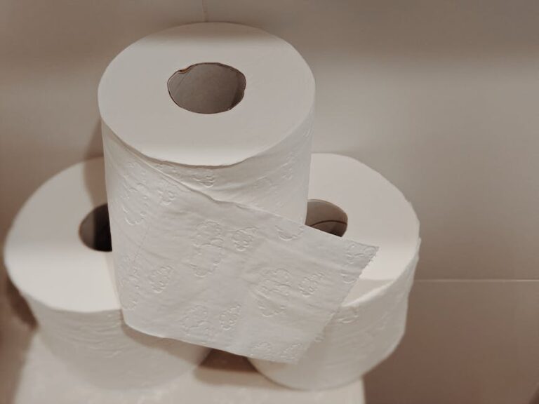 Creative Uses for Toilet Paper Rolls in Home Maintenance